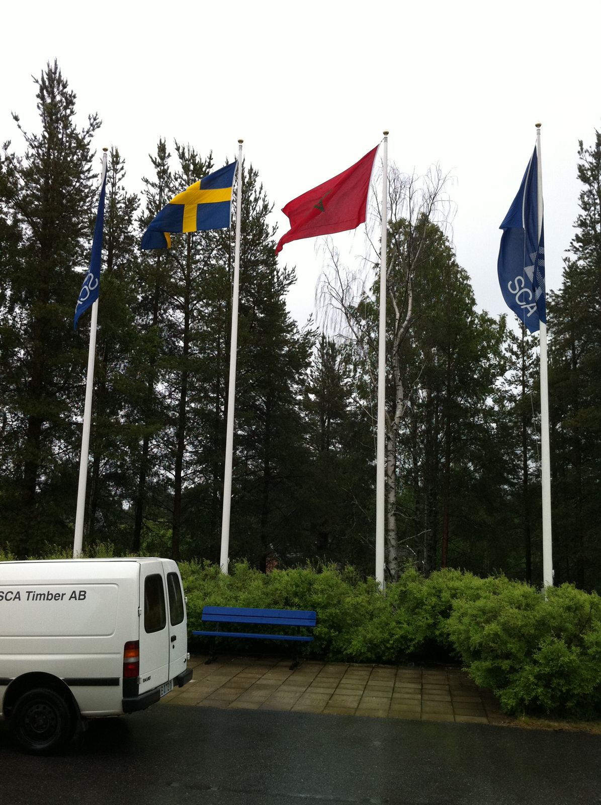 Drapeaux marocain et suédois hissés chez SCA Timber, Suède