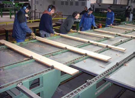 Ligne de triage des planches de hêtre