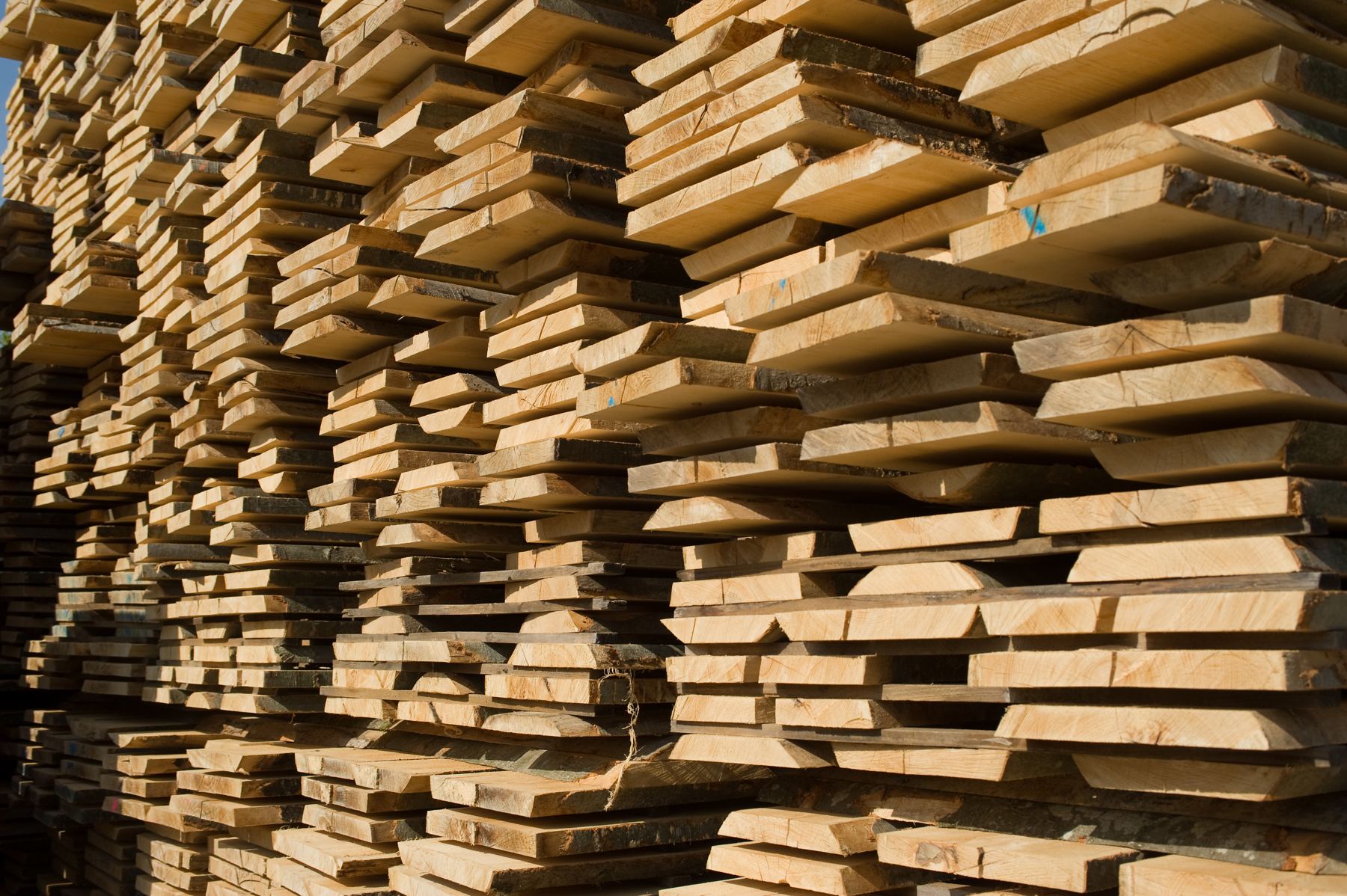 Pile de planches de hêtre